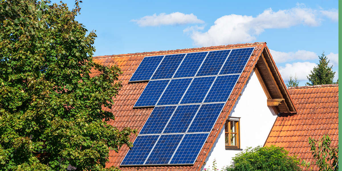 plant-based food market