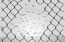 Persuasion tactics - disrupt & reframe / metafoor Persuasion tactics - disrupt & reframe / metafoor