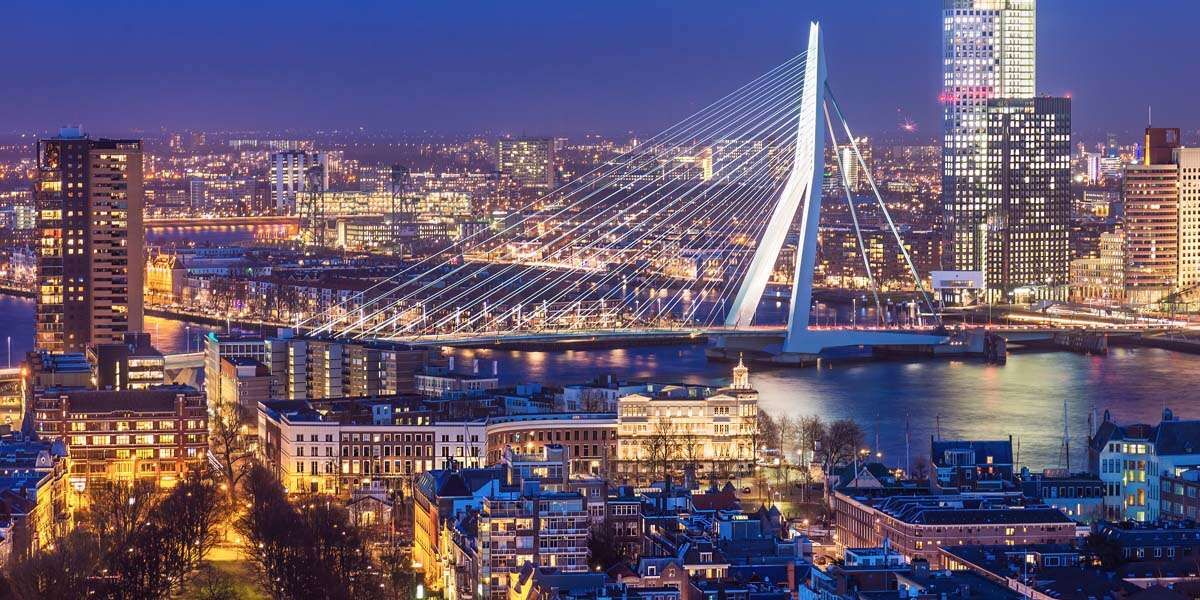 Reputatie Management Rotterdan